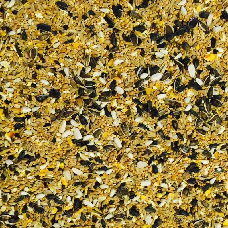 Bucktons Large Parakeet Bird Food