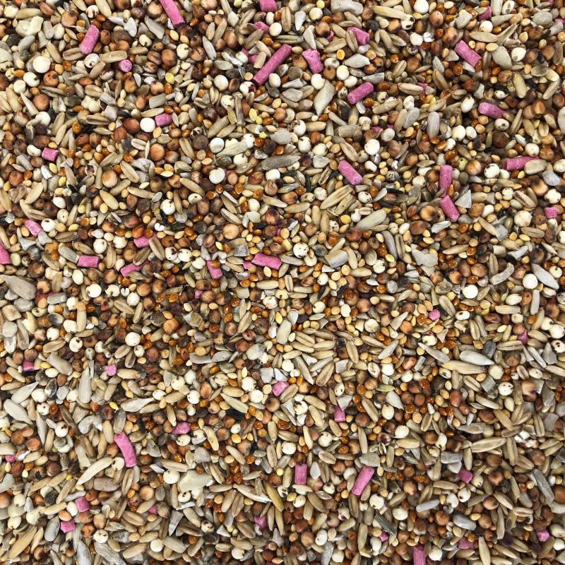 Bucktons Superior 12 Seed Blend for Wild Birds