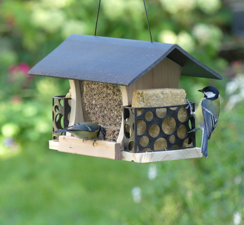 Peckish Woodland Feast Multi Feeder for Wild Birds