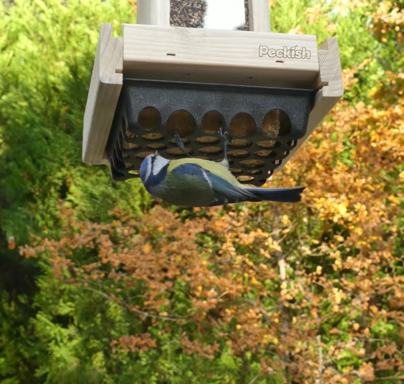 Peckish Woodland Feast Seed & Suet Cake Tower Feeder for Wild Birds