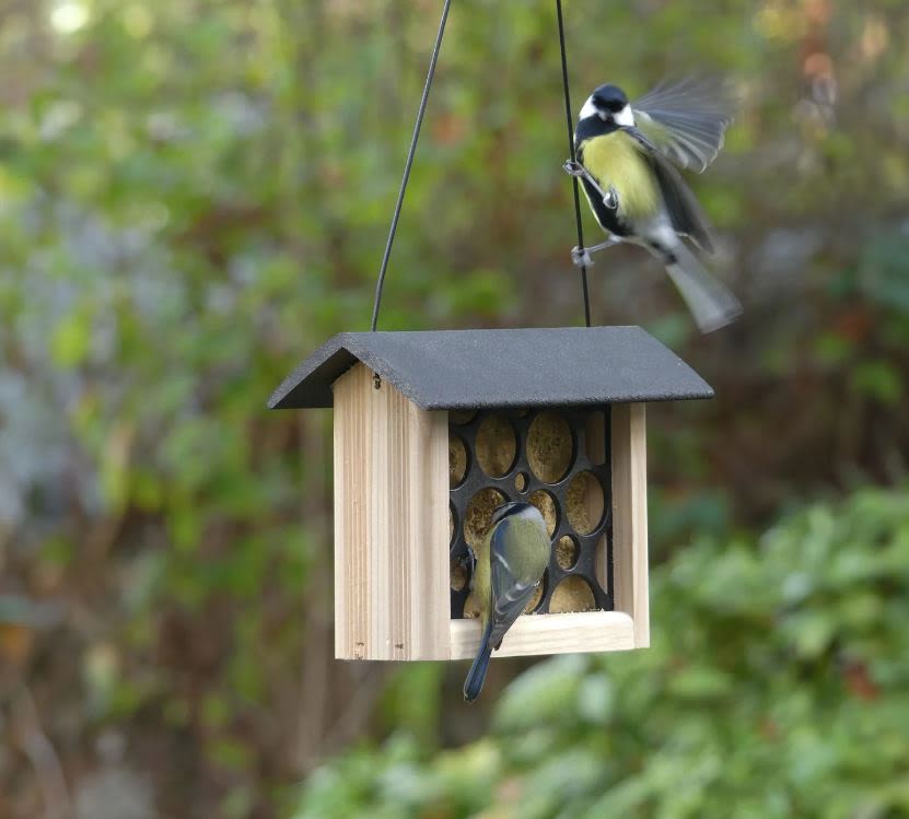 Peckish Woodland Feast Suet Cake Feeder for Wild Birds