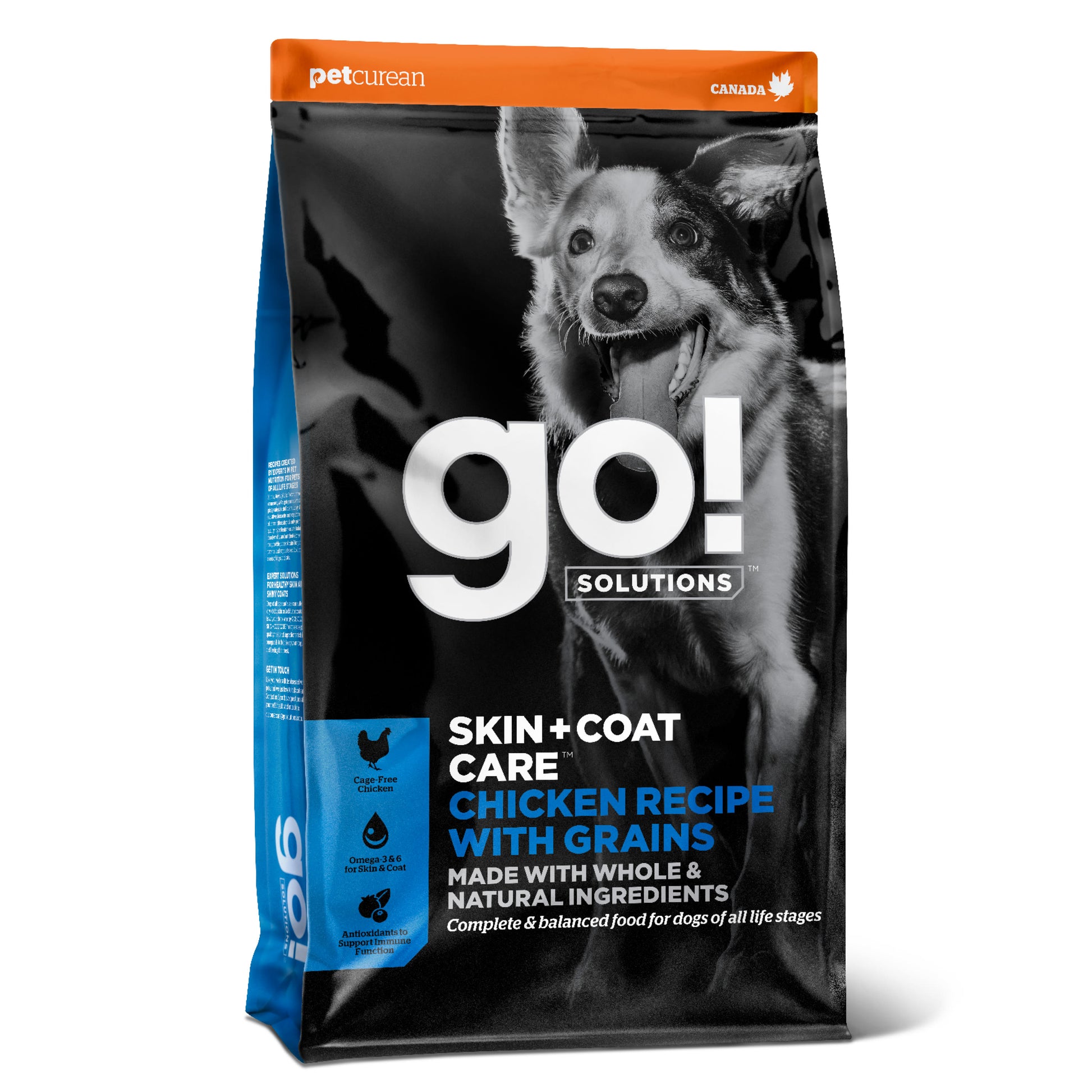 Go! Solutions Go! Solutions Skin Coat Care Grains Chicken Salmon Adult Dry Dog Food pet food packaging
