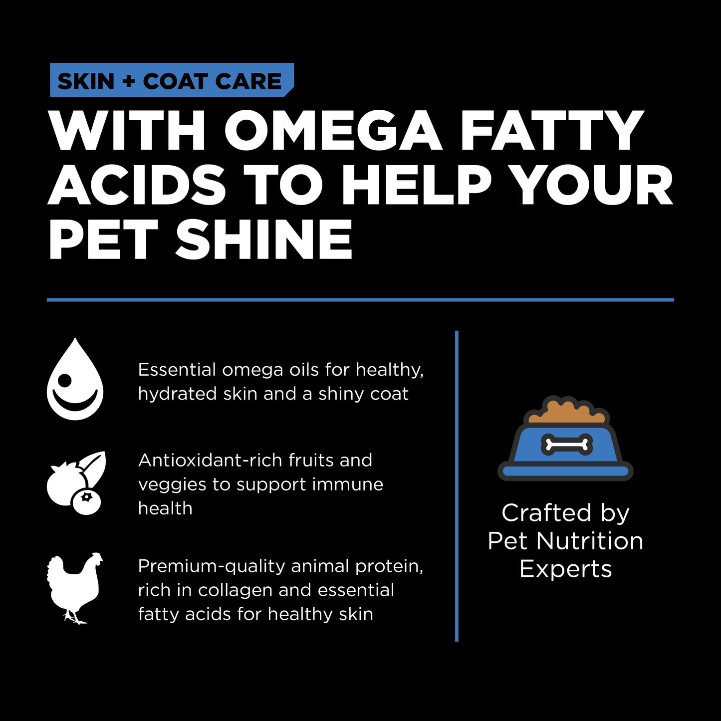 Go! Solutions Skin + Coat Care Chicken Recipe with Grains Dry Dog Food