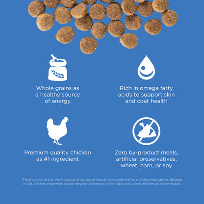 Go! Solutions Skin + Coat Care Chicken Recipe with Grains Dry Dog Food