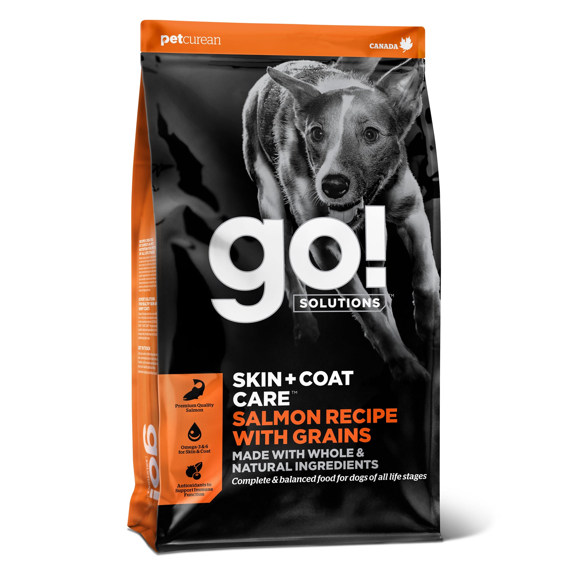Go! Solutions Go! Solutions Skin Coat Care Grains Salmon Adult Dry Dog Food pet food packaging