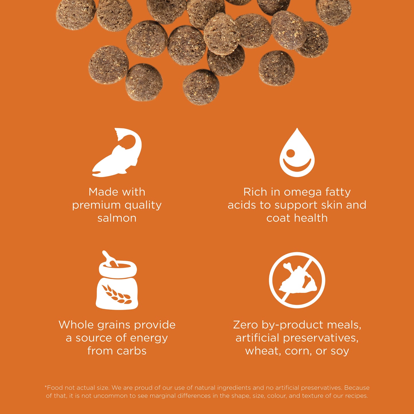 Go! Solutions Skin + Coat Care Salmon Recipe with Grains Dry Dog Food