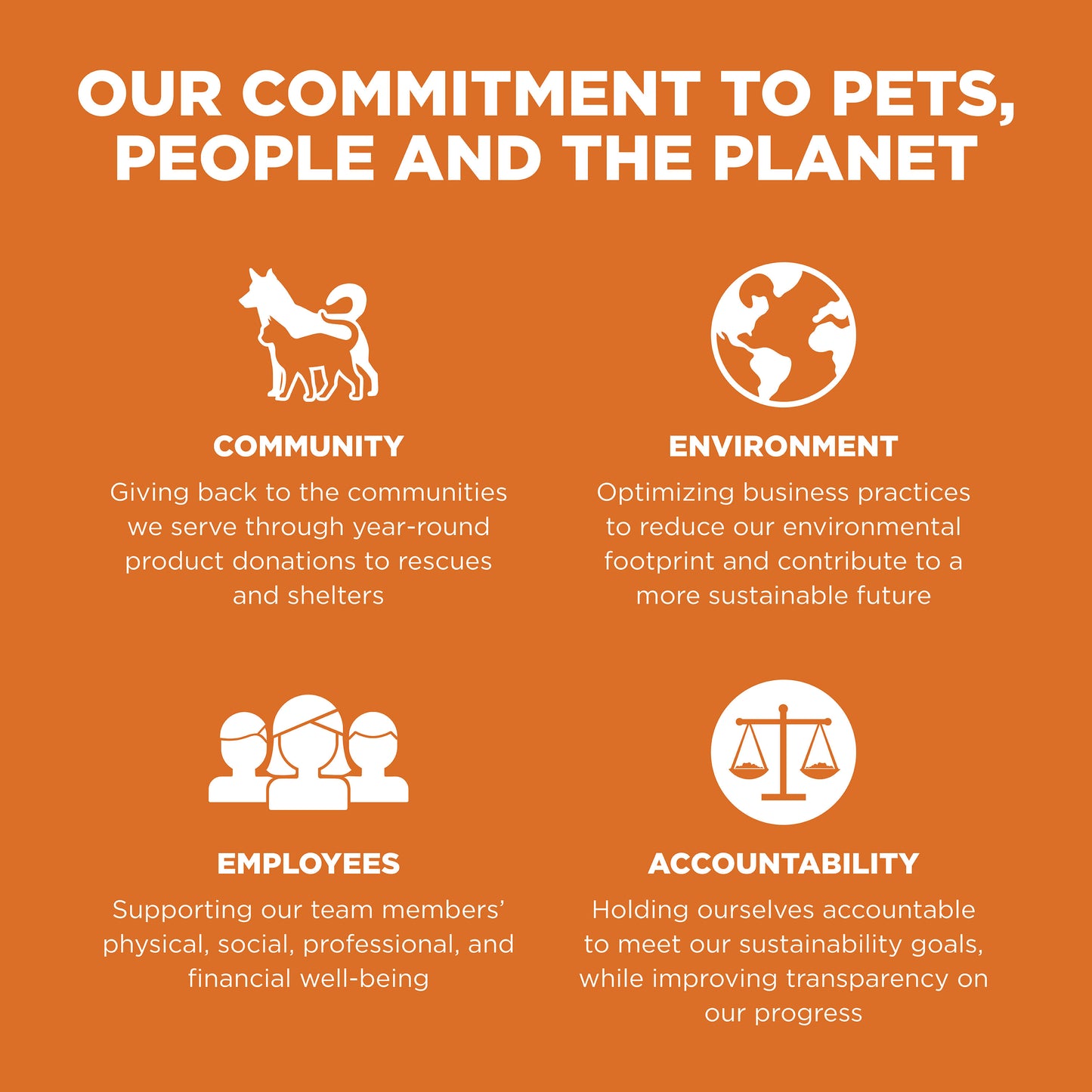 Go! Solutions Skin + Coat Care Salmon Recipe with Grains Dry Dog Food