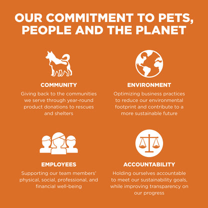 Go! Solutions Skin + Coat Care Salmon Recipe with Grains Dry Dog Food