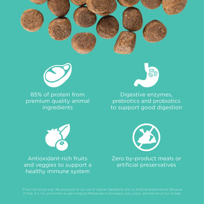 Go! Solutions Carnivore Grain Free Chicken, Turkey + Duck Adult Recipe Dry Dog Food