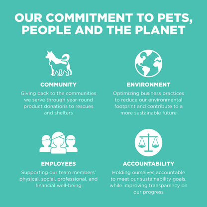 Go! Solutions Carnivore Grain Free Chicken, Turkey + Duck Adult Recipe Dry Dog Food