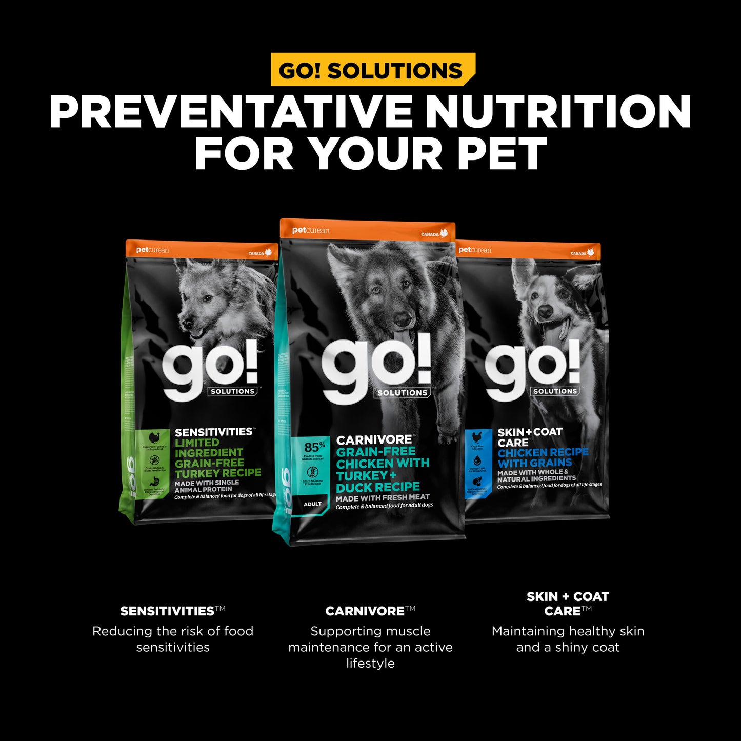 Go! Solutions Carnivore Grain Free Chicken, Turkey + Duck Adult Recipe Dry Dog Food