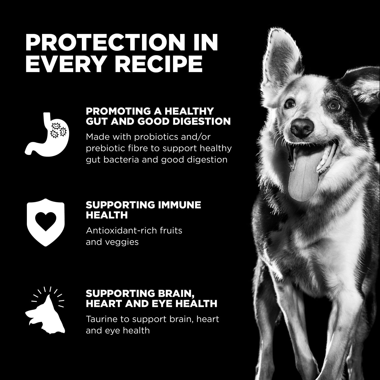 Go! Solutions Sensitivities Limited Ingredient Grain Free Duck recipe Dry Dog Food