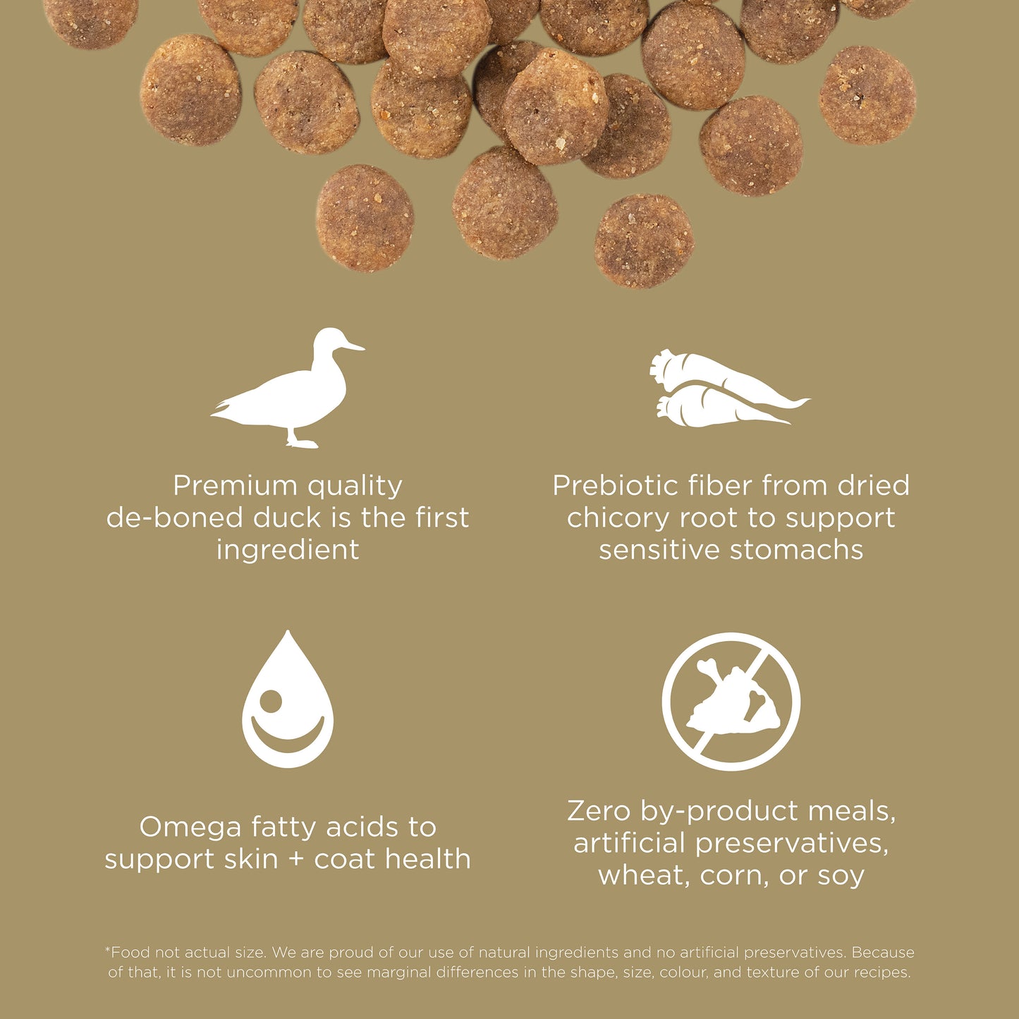 Go! Solutions Sensitivities Limited Ingredient Grain Free Duck recipe Dry Dog Food