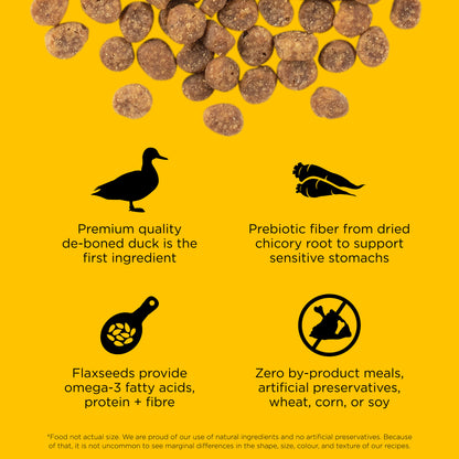 Go! Solutions Sensitivities Limited Ingredient Grain Free Duck recipe Dry Cat Food