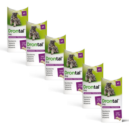 6x Drontal Tasty Bone Wormer Tablets for Small and Medium Dogs (2 to 20kg) 1 tablet per 10kg