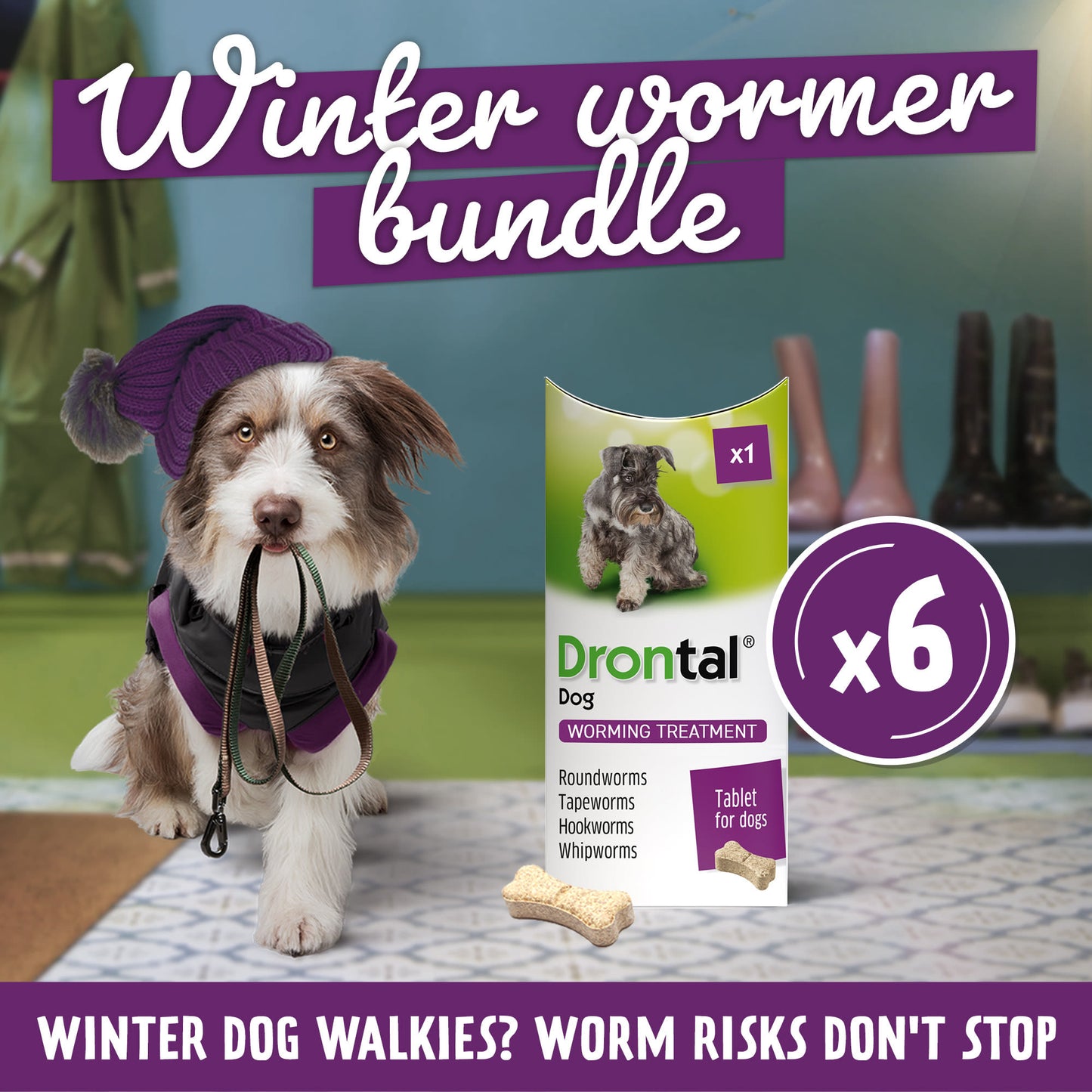 6x Drontal Tasty Bone Wormer Tablets for Small and Medium Dogs (2 to 20kg) 1 tablet per 10kg