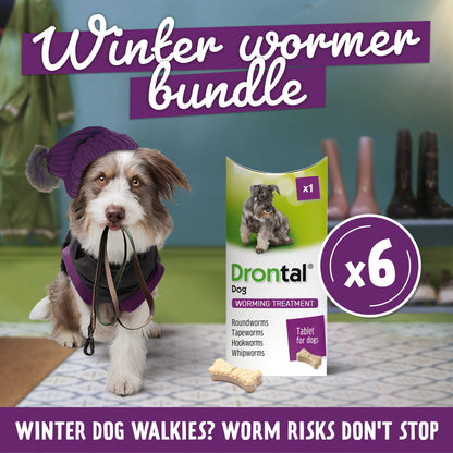 6x Drontal Tasty Bone Wormer Tablets for Small and Medium Dogs (2 to 20kg) 1 tablet per 10kg