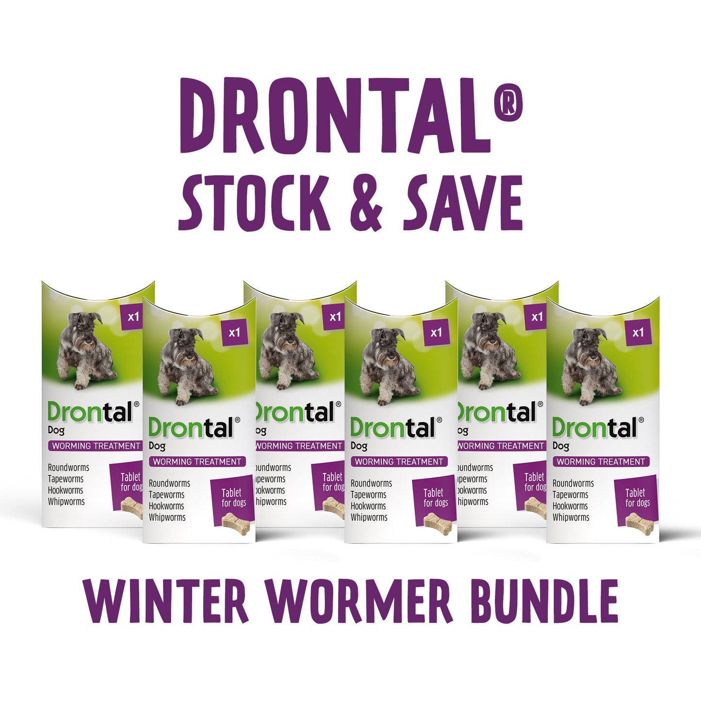 6x Drontal Tasty Bone Wormer Tablets for Small and Medium Dogs (2 to 20kg) 1 tablet per 10kg