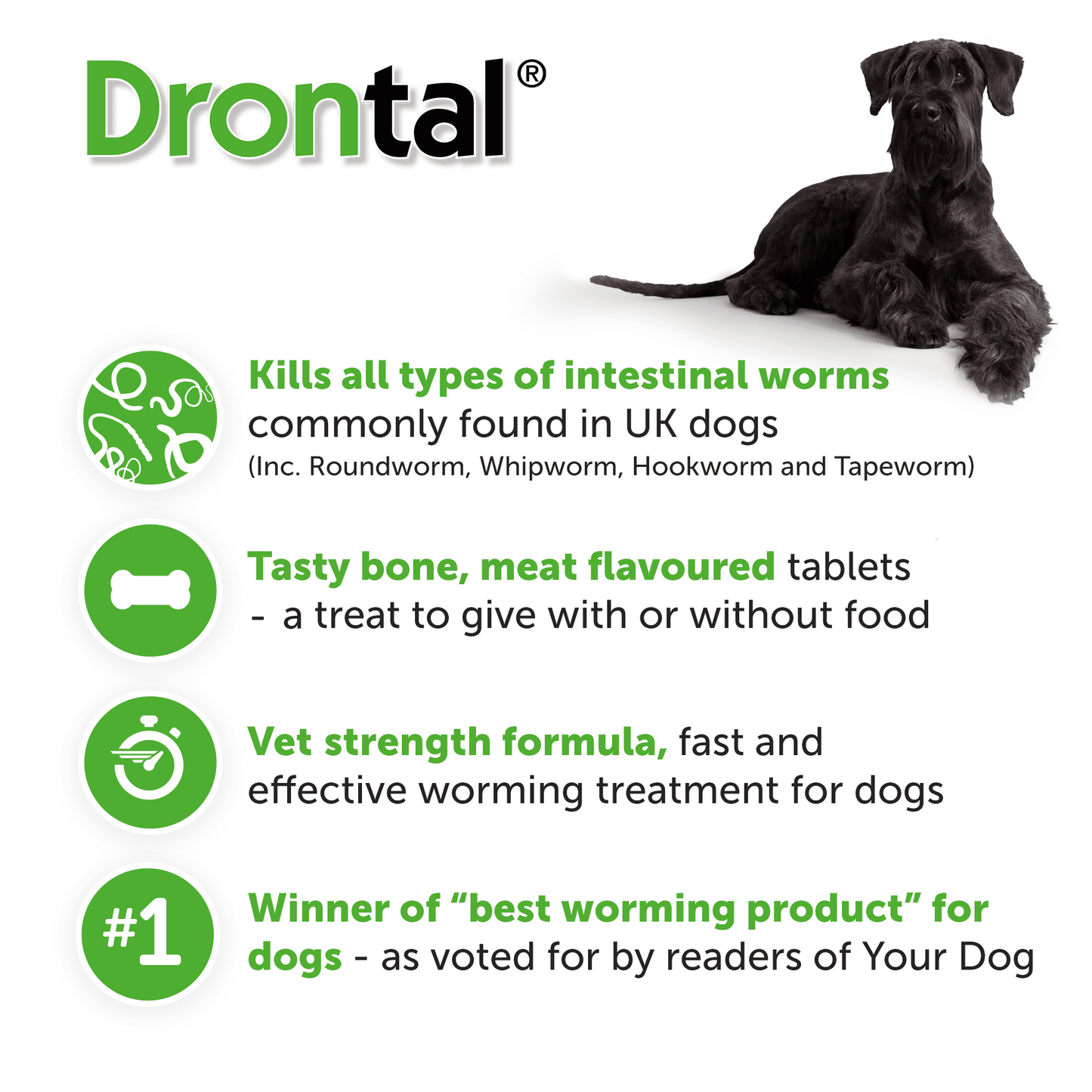 6x Drontal Tasty Bone Wormer Tablets for Small and Medium Dogs (2 to 20kg) 1 tablet per 10kg