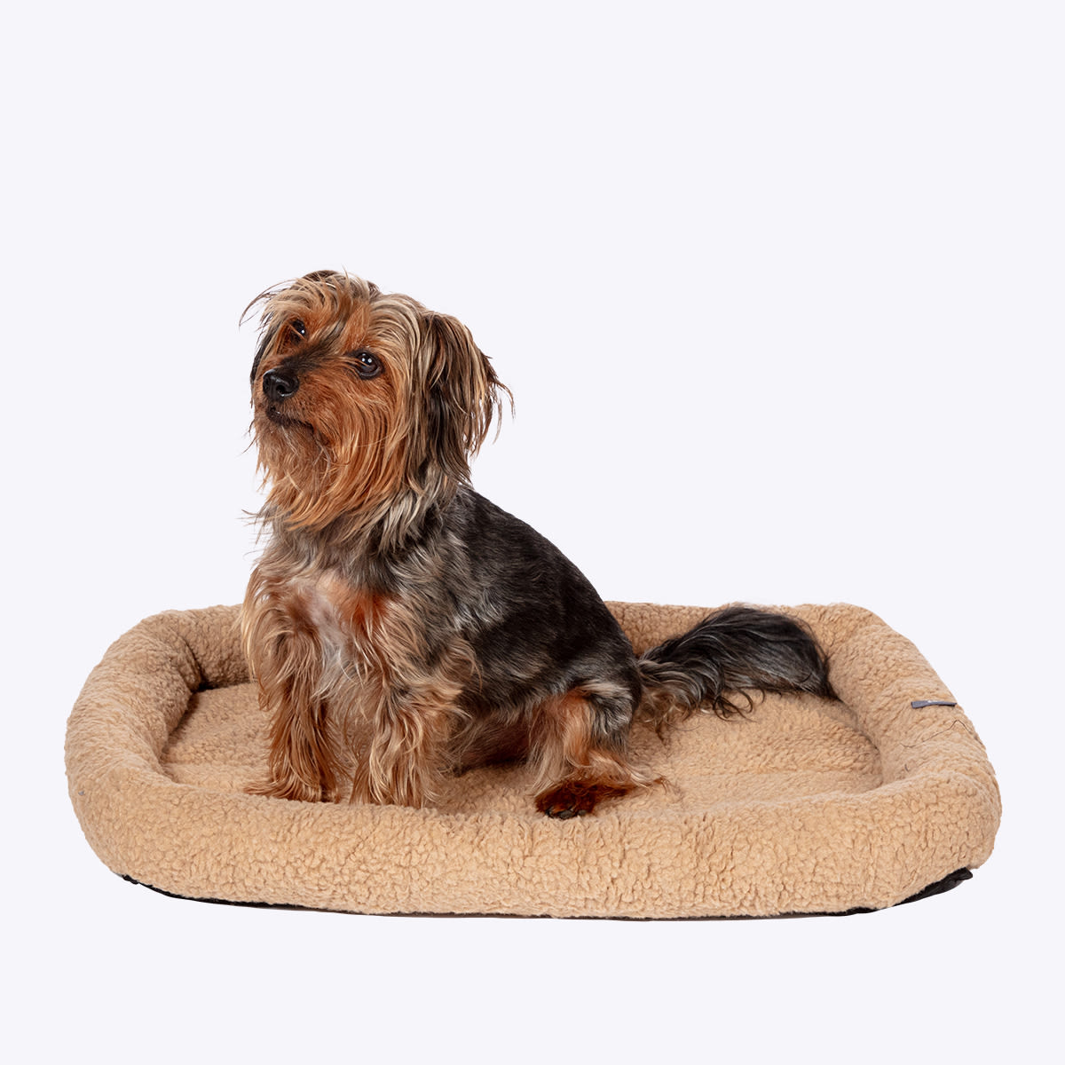 Danish Essentials Dog Mattress - Beige