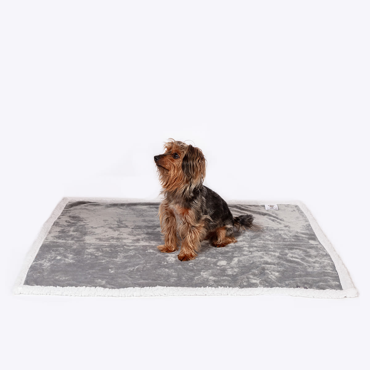 Danish Essentials Fur Dog Blanket - Beige (75X100Cm)