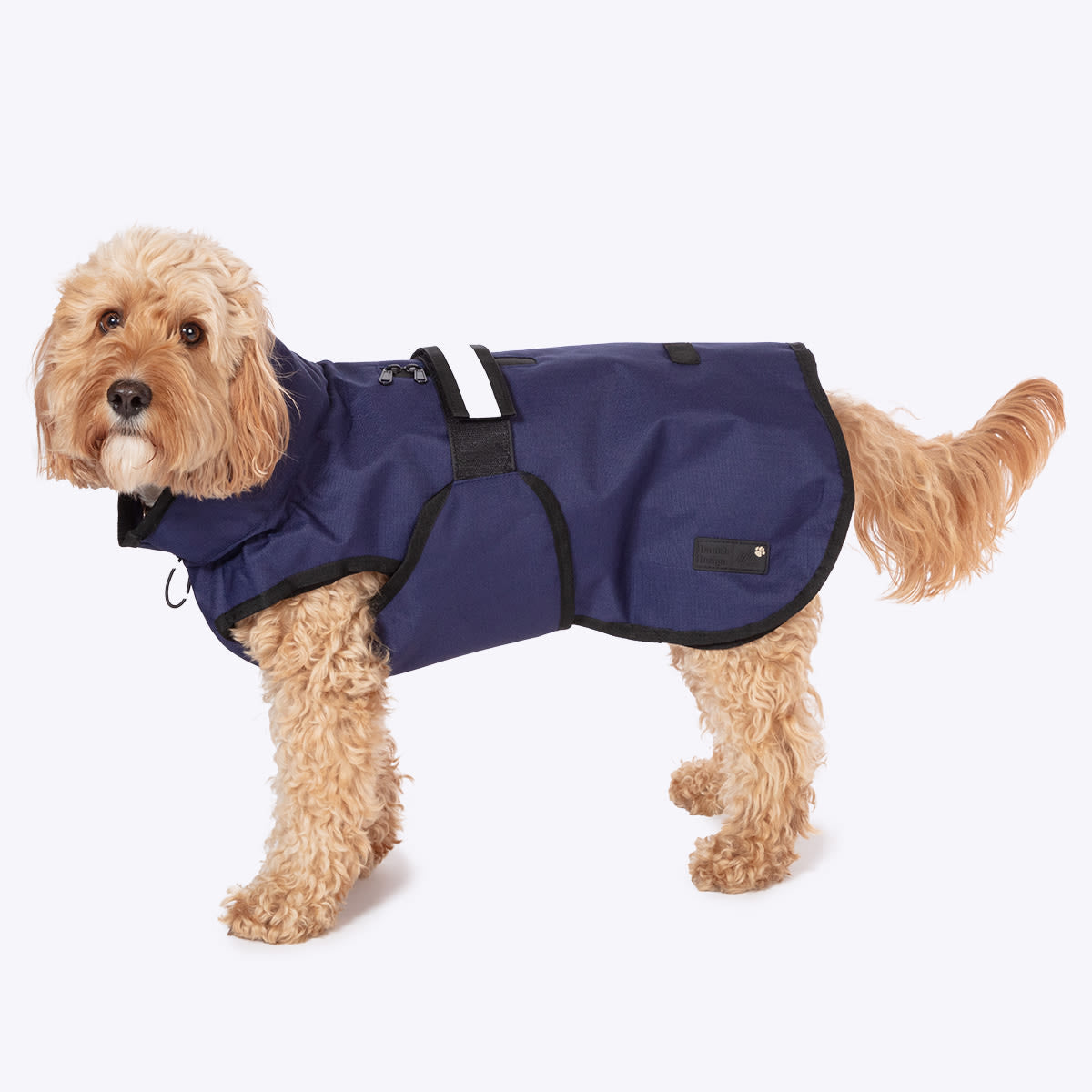 Danish Design 3-In-1 Dog Coat - Navy