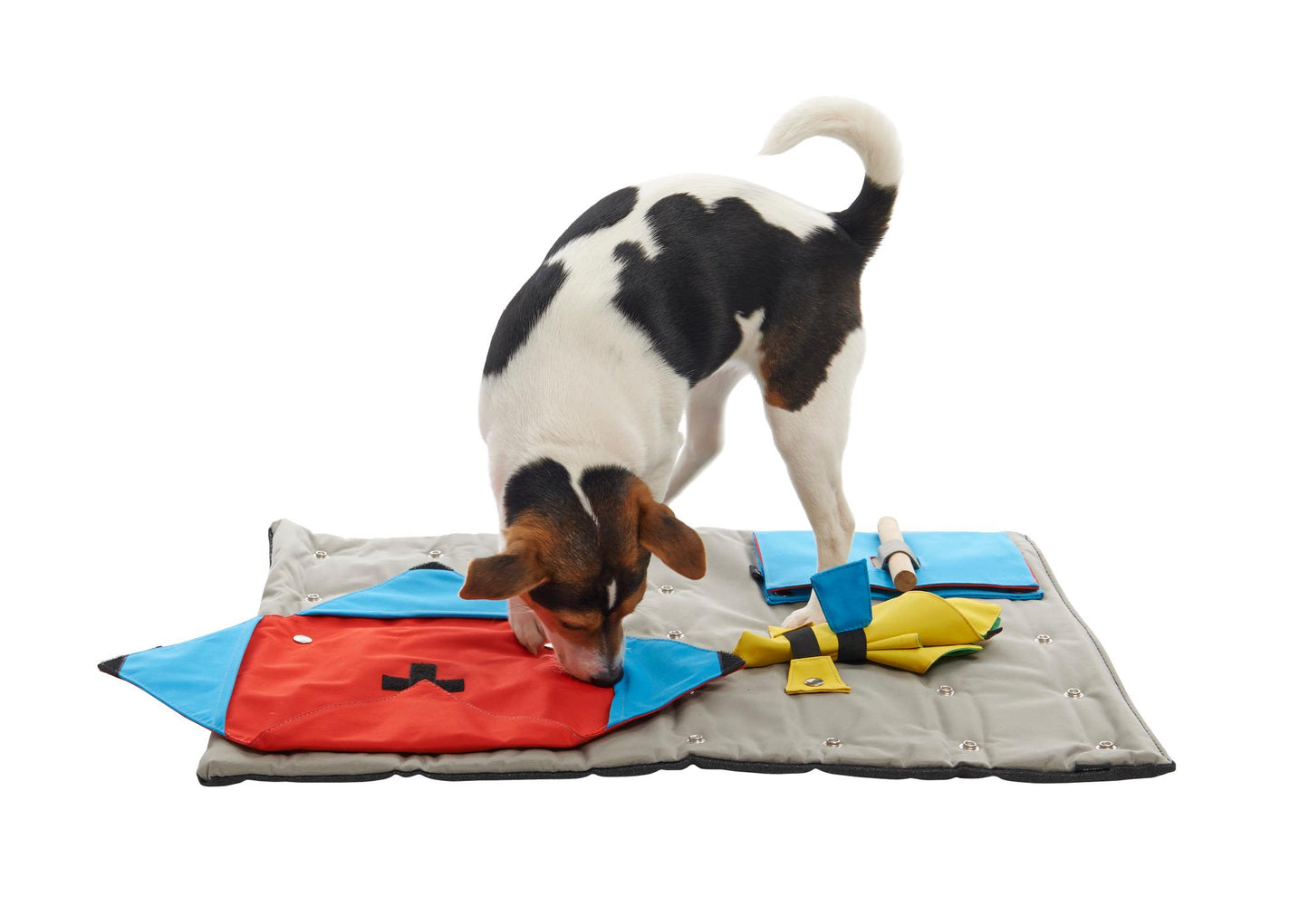 Buster Activity Mat Starter Set with 3 Activities for Dogs