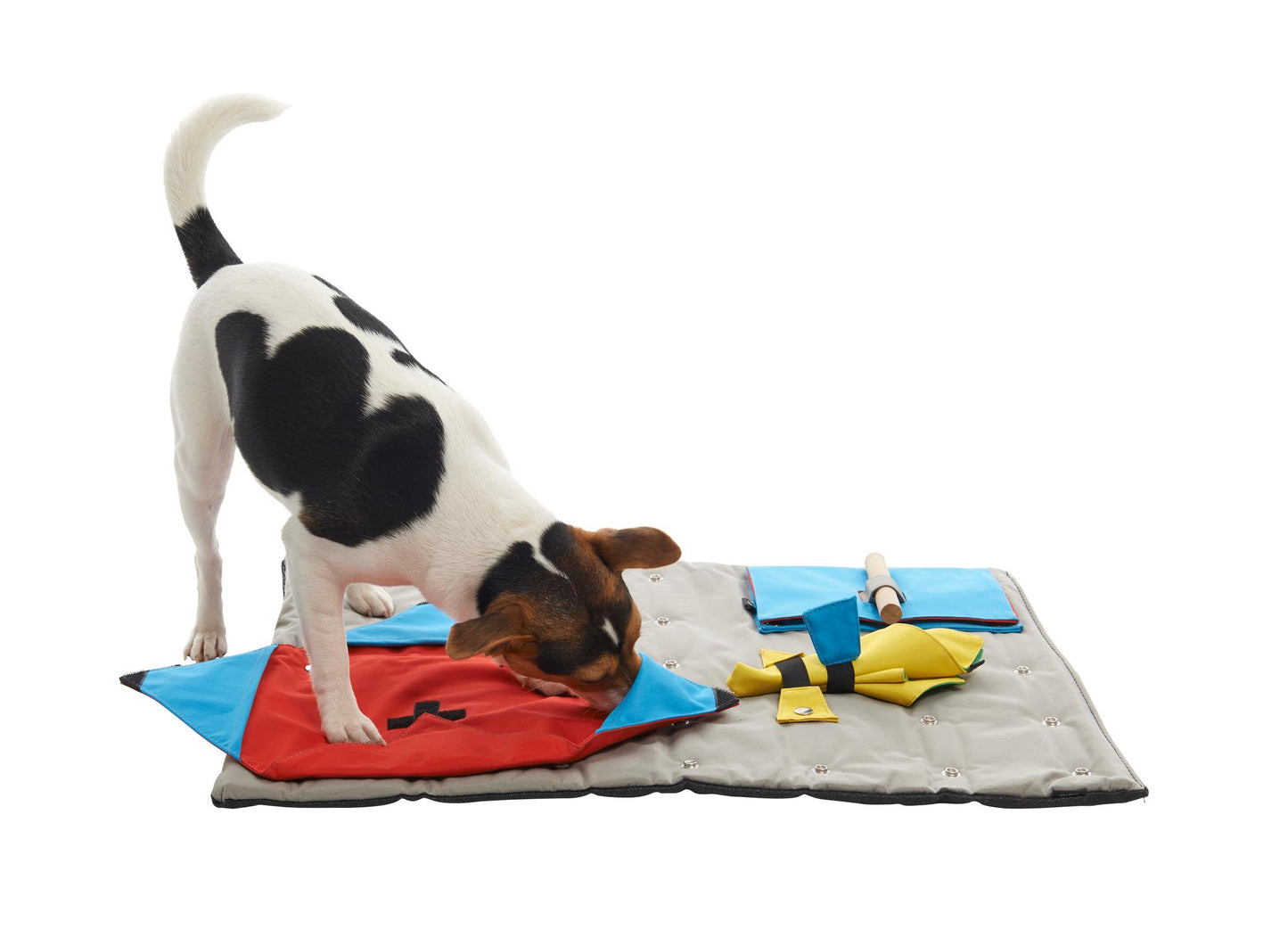 Buster Activity Mat Starter Set with 3 Activities for Dogs