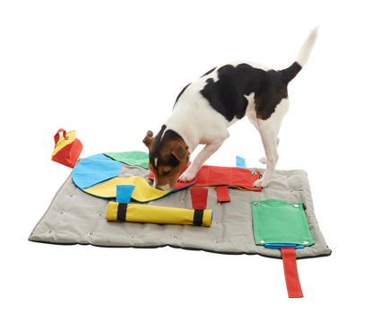 Buster Activity Mat Starter Set with 3 Activities for Dogs
