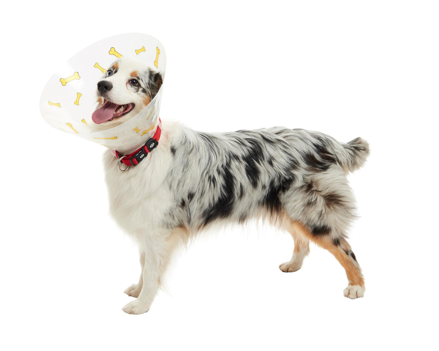 Buster Design Dog Collar Bones - Yellow