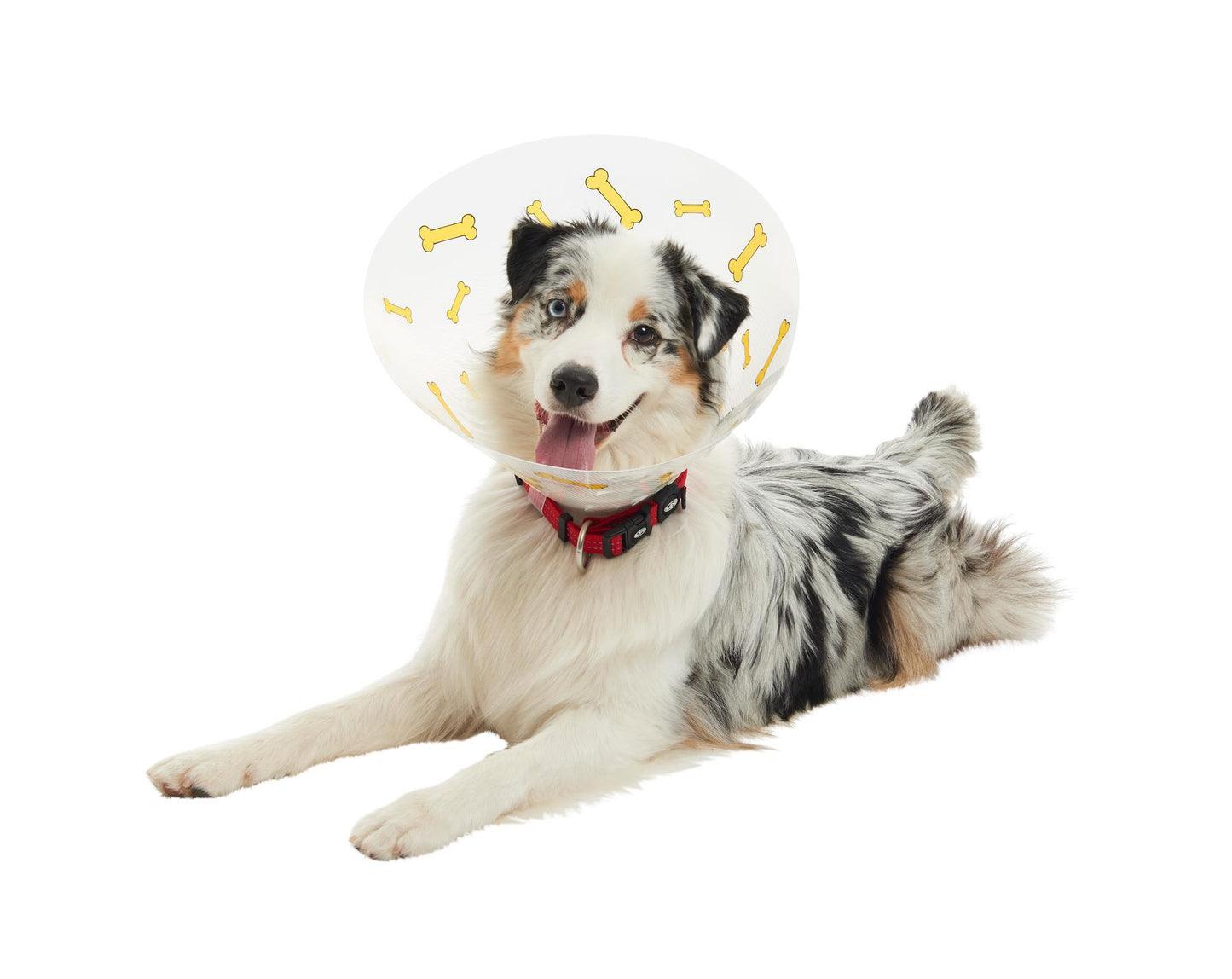 Buster Design Dog Collar Bones - Yellow