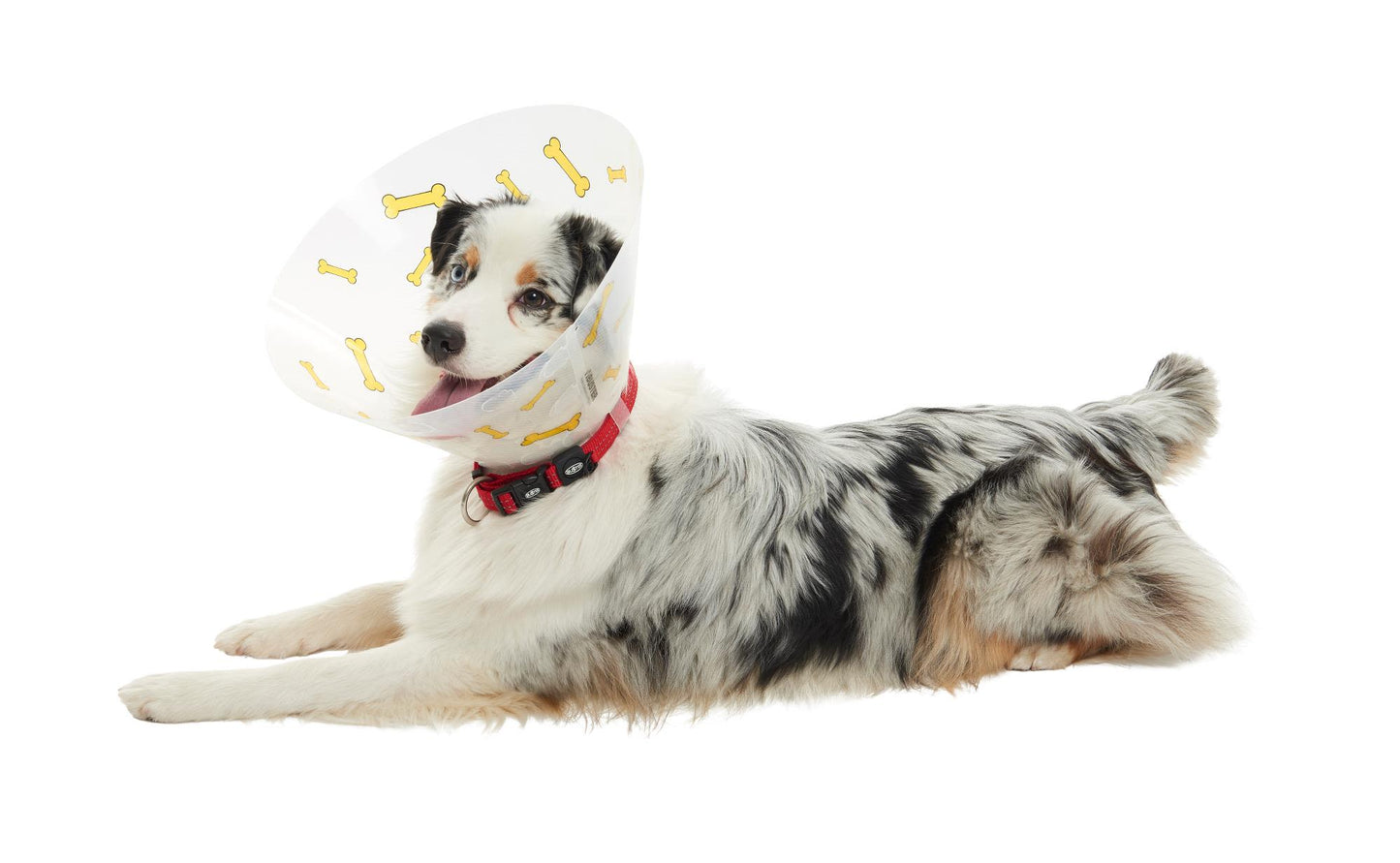 Buster Design Dog Collar Bones - Yellow