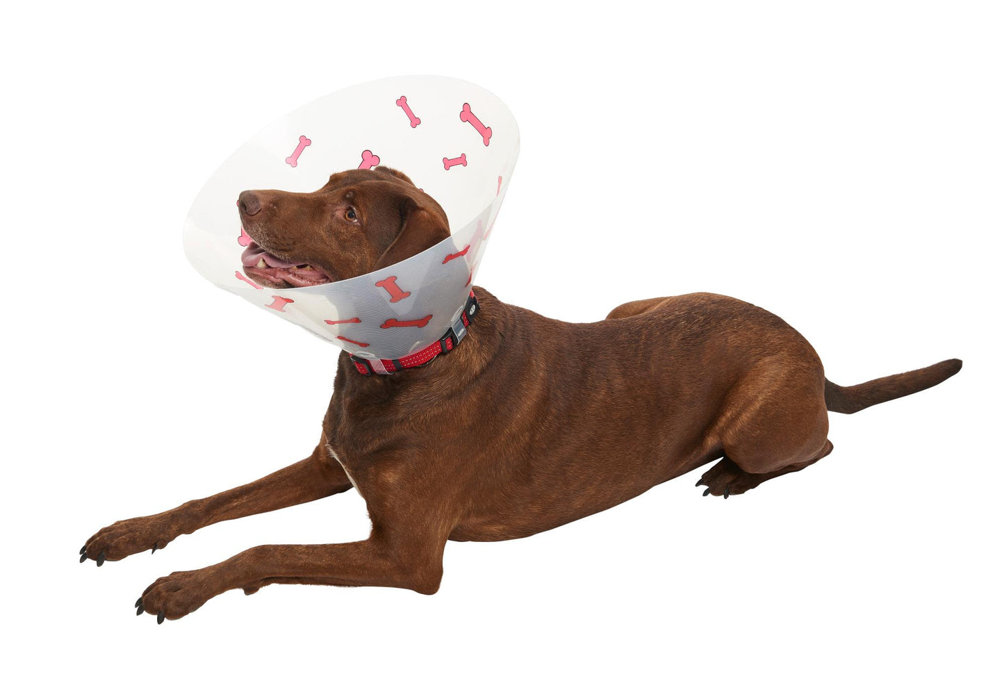 Buster Design Dog Collar Bones - Red