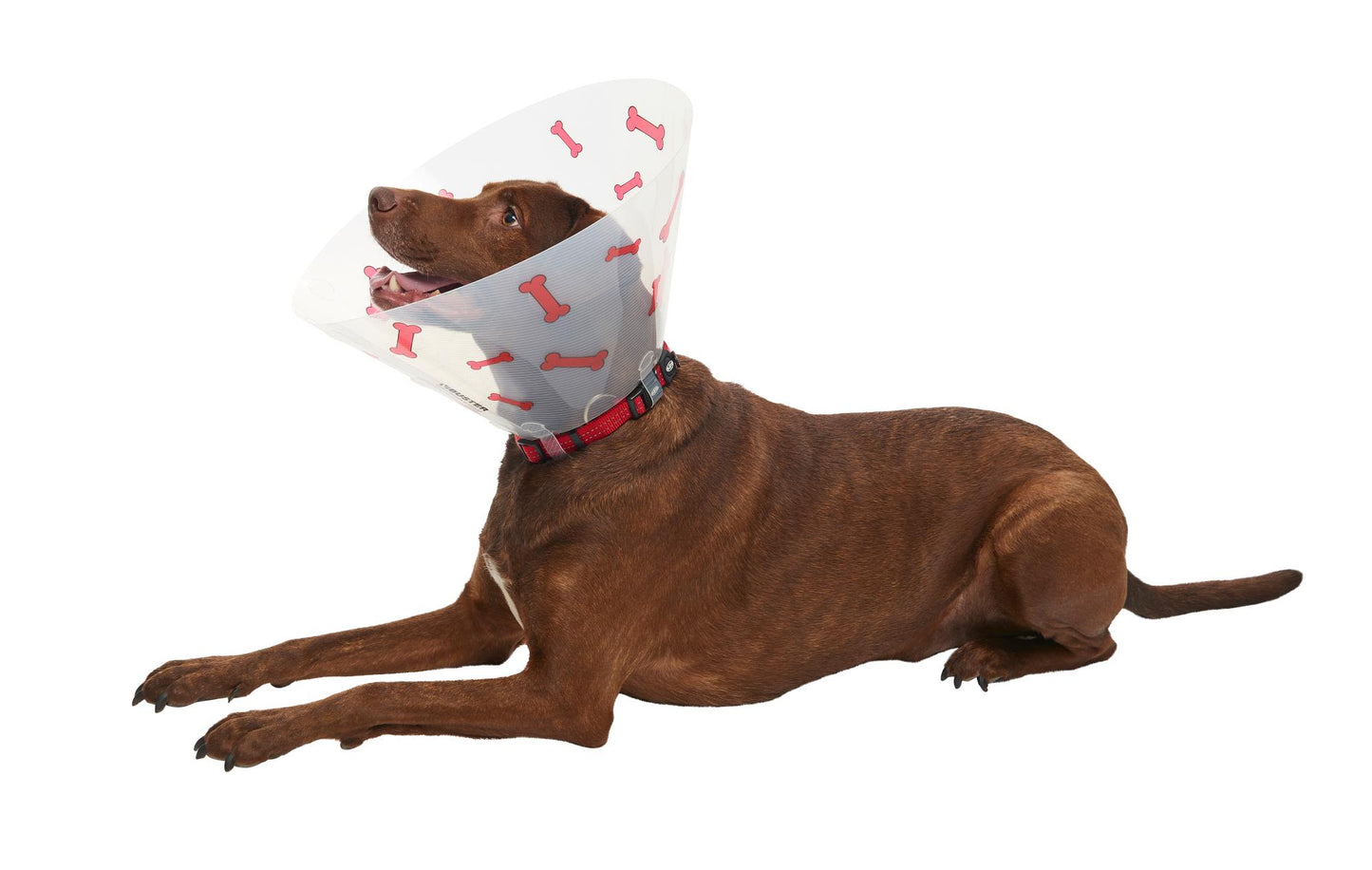 Buster Design Dog Collar Bones - Red