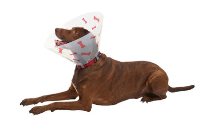 Buster Design Dog Collar Bones - Red