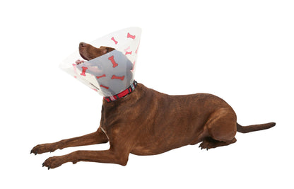 Buster Design Dog Collar Bones - Red