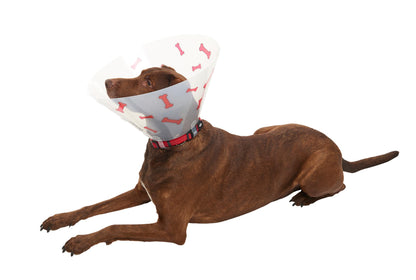 Buster Design Dog Collar Bones - Red