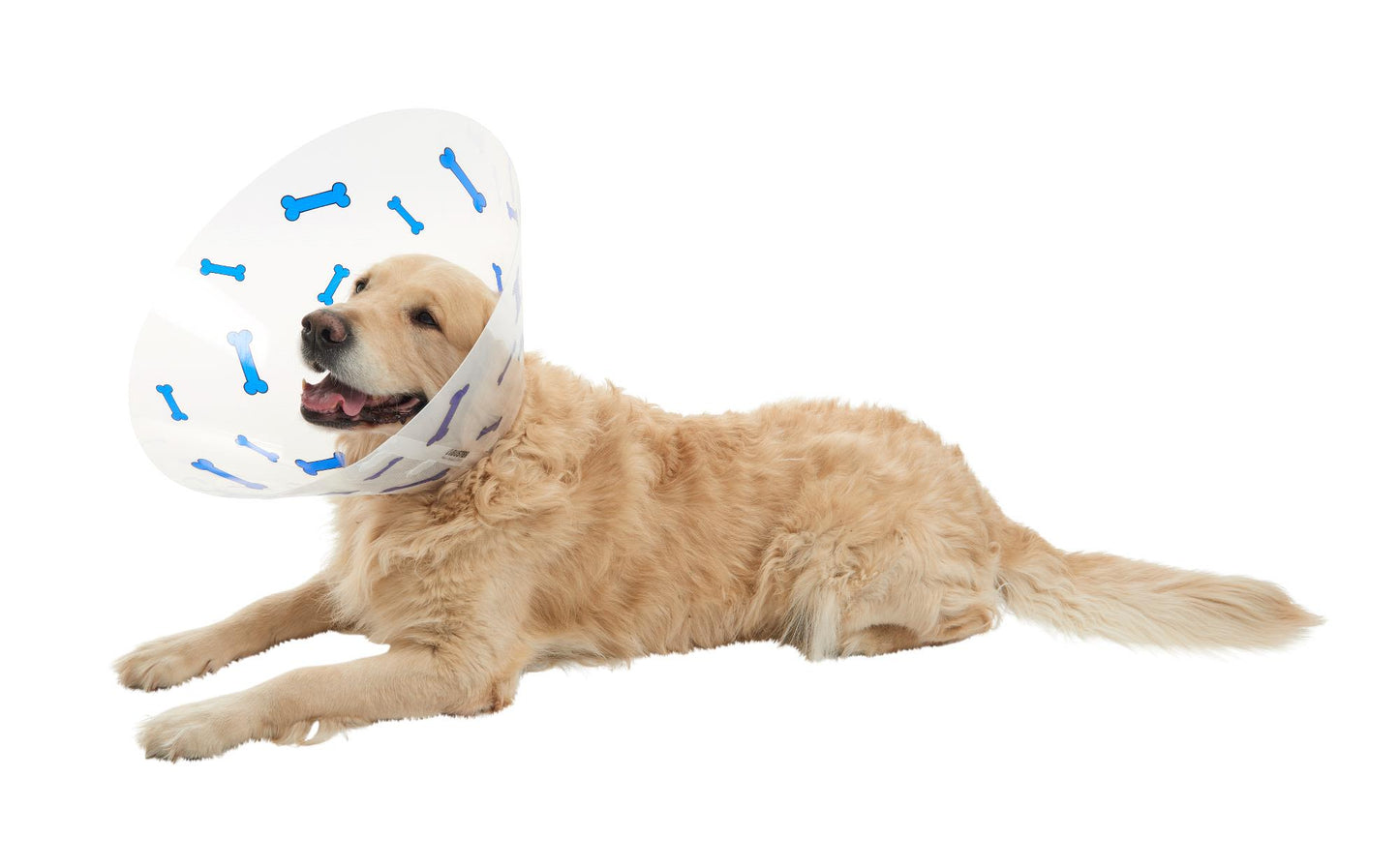 Buster Design Dog Collar Bones - Dark Blue