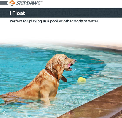 Skipdawg Agility Ball for Dogs 2 Pack