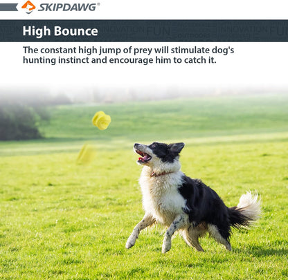 Skipdawg Agility Ball for Dogs 2 Pack