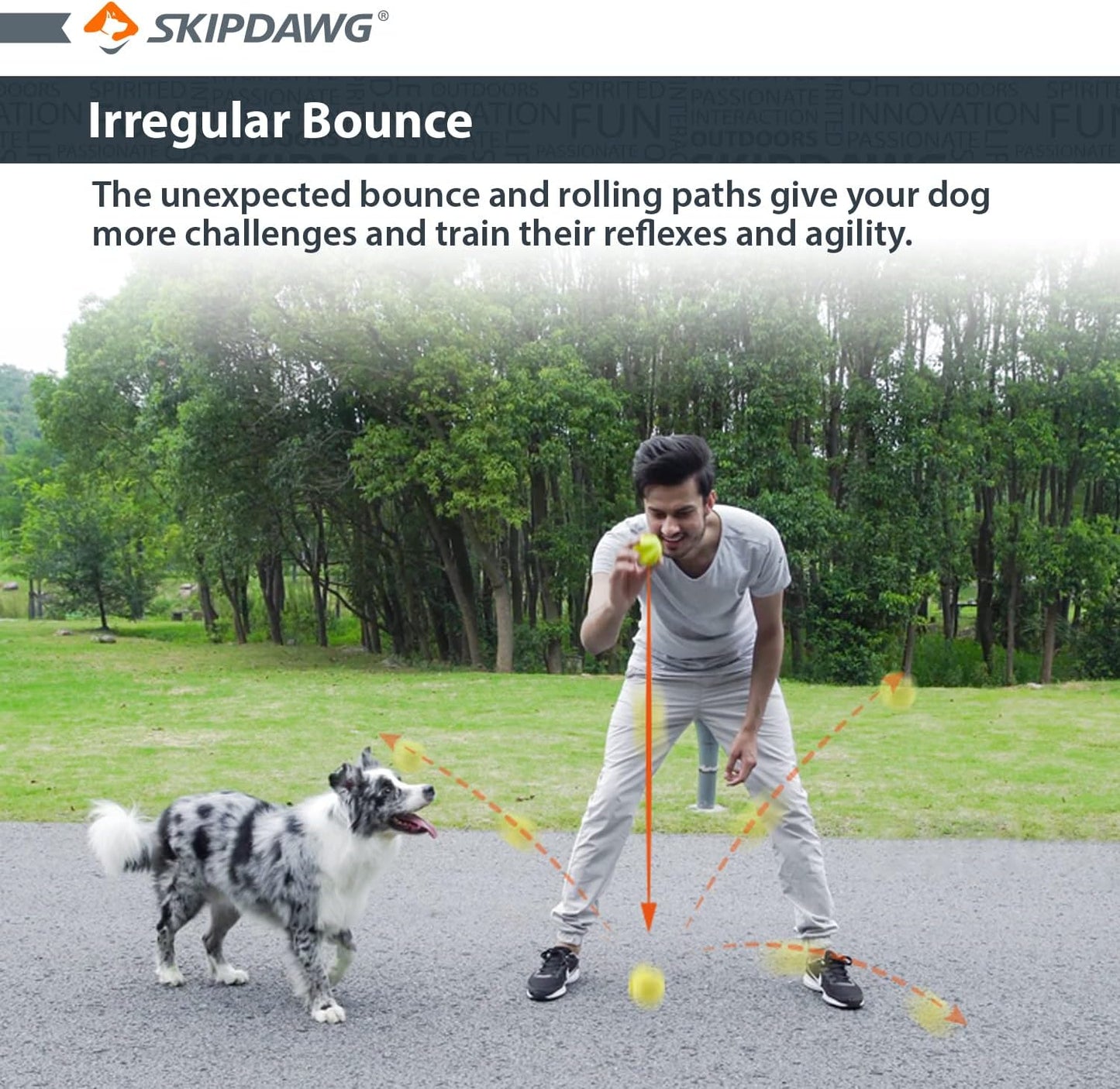 Skipdawg Agility Ball for Dogs 2 Pack