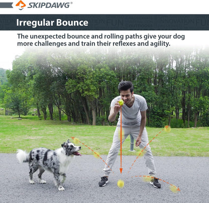 Skipdawg Agility Ball for Dogs 2 Pack