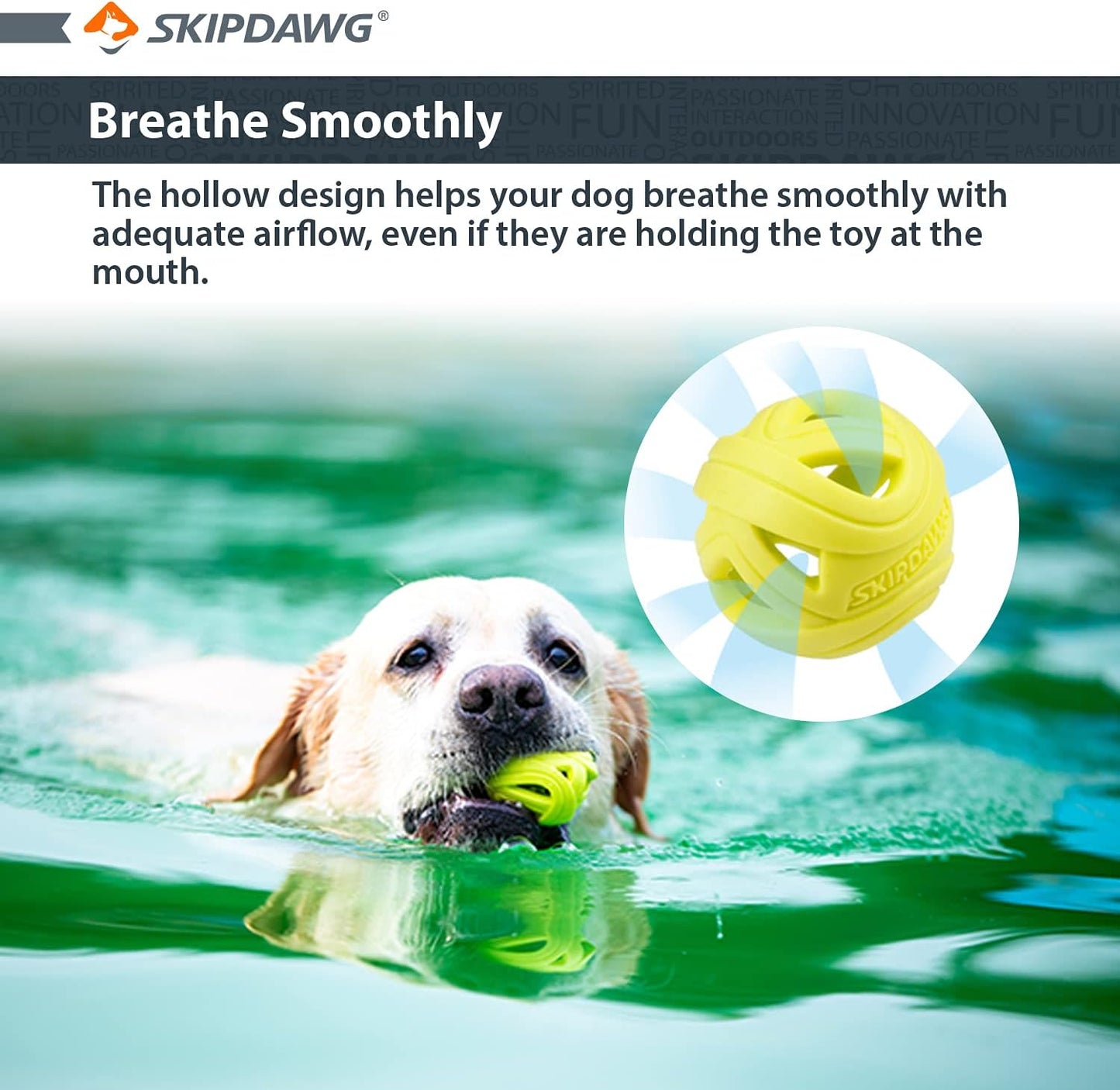 Skipdawg Breezy Ball for Dogs 2 Pack