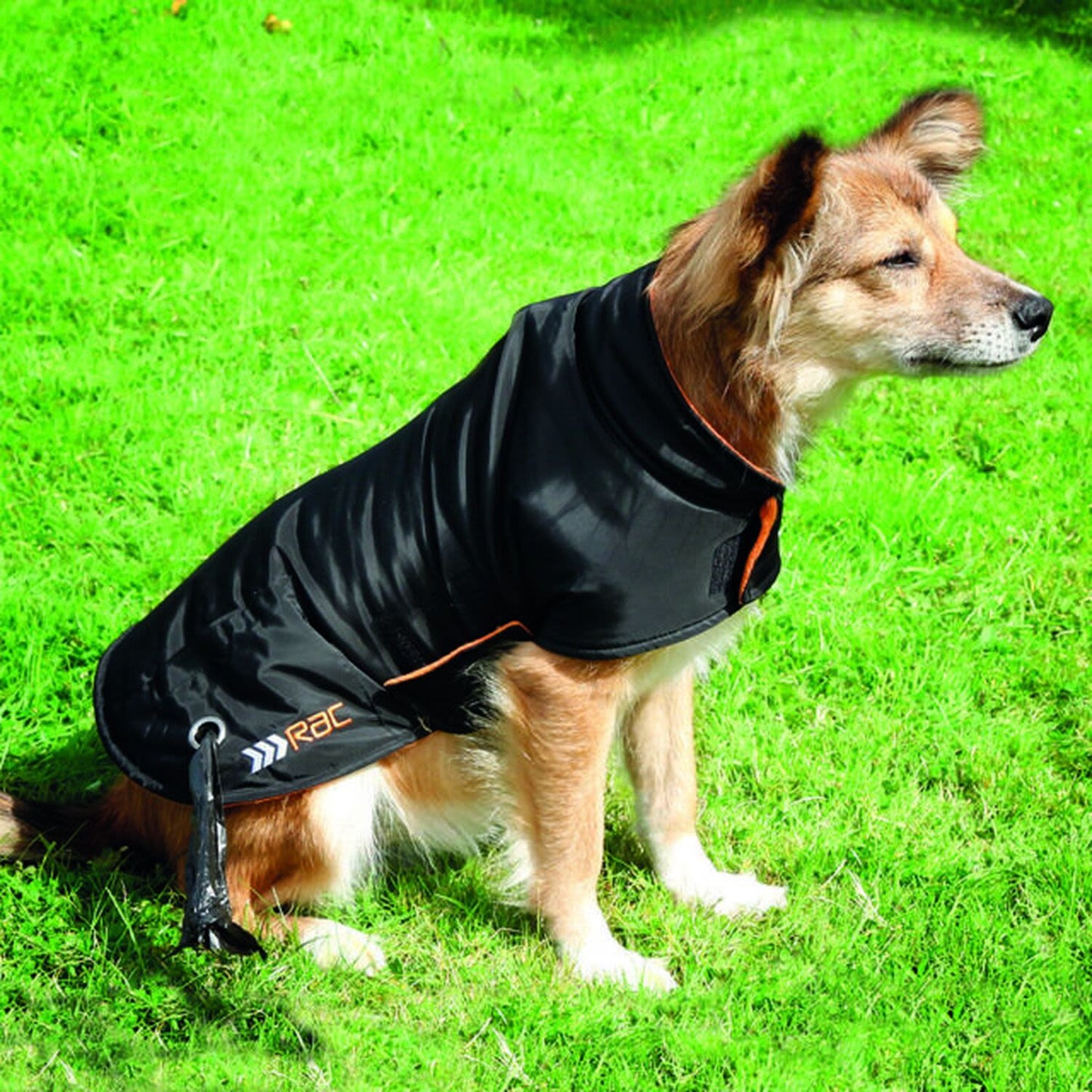 Rac Advanced Weatherproof Dog Coat