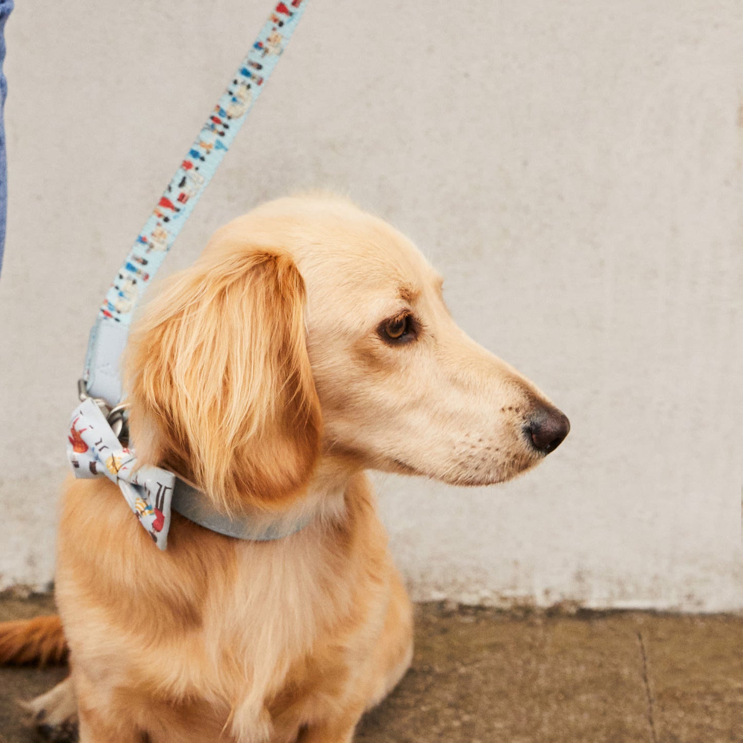 Cath Kidston London People Printed Pet Lead