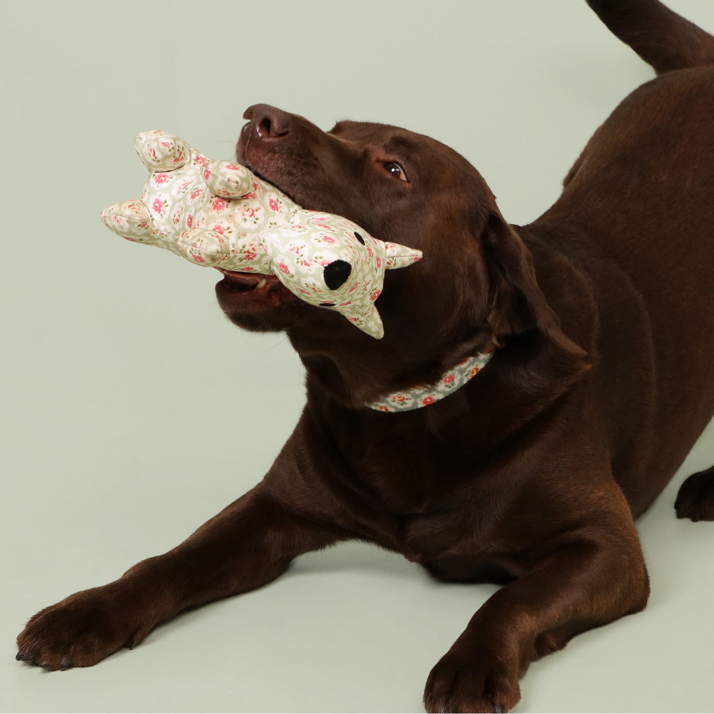 Cath Kidston Provence Rose Tough Cotton Canvas Stanley Plush Dog Toy