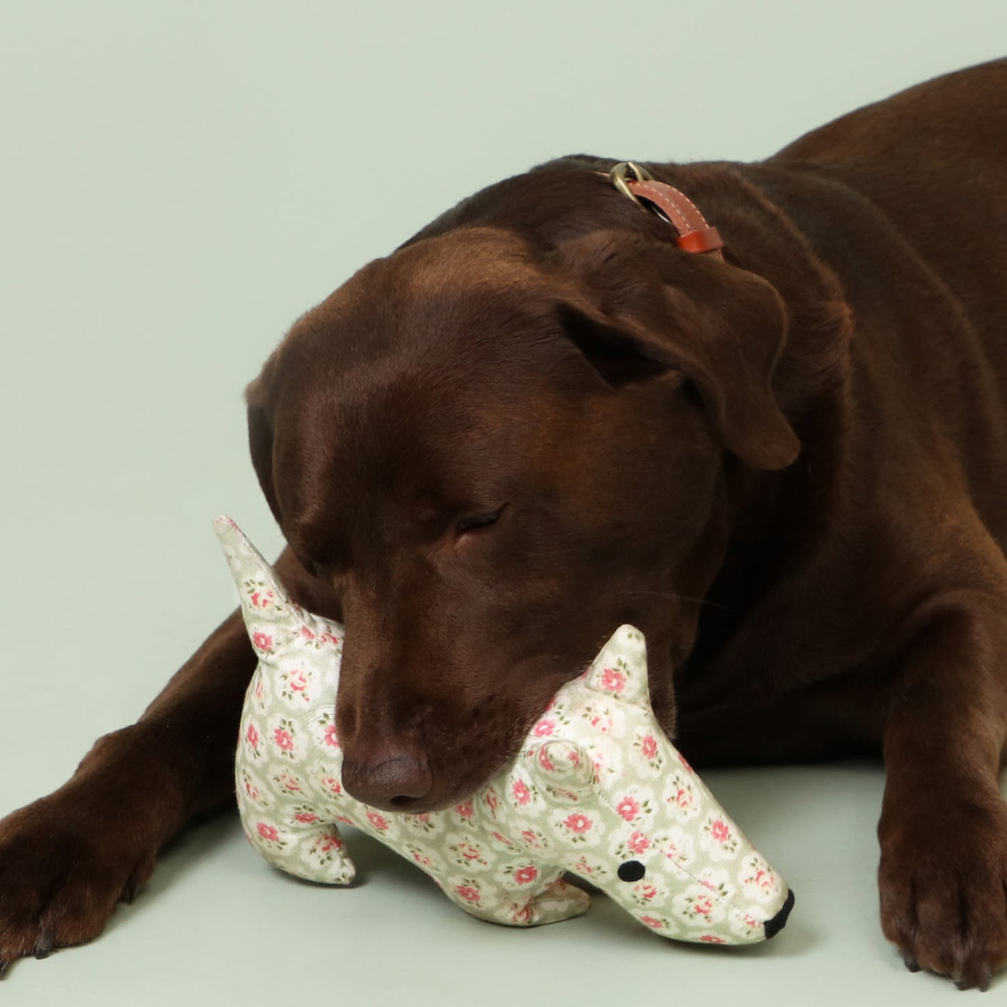 Cath Kidston Provence Rose Tough Cotton Canvas Stanley Plush Dog Toy