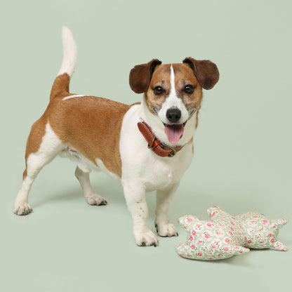 Cath Kidston Provence Rose Tough Cotton Canvas Stanley Plush Dog Toy