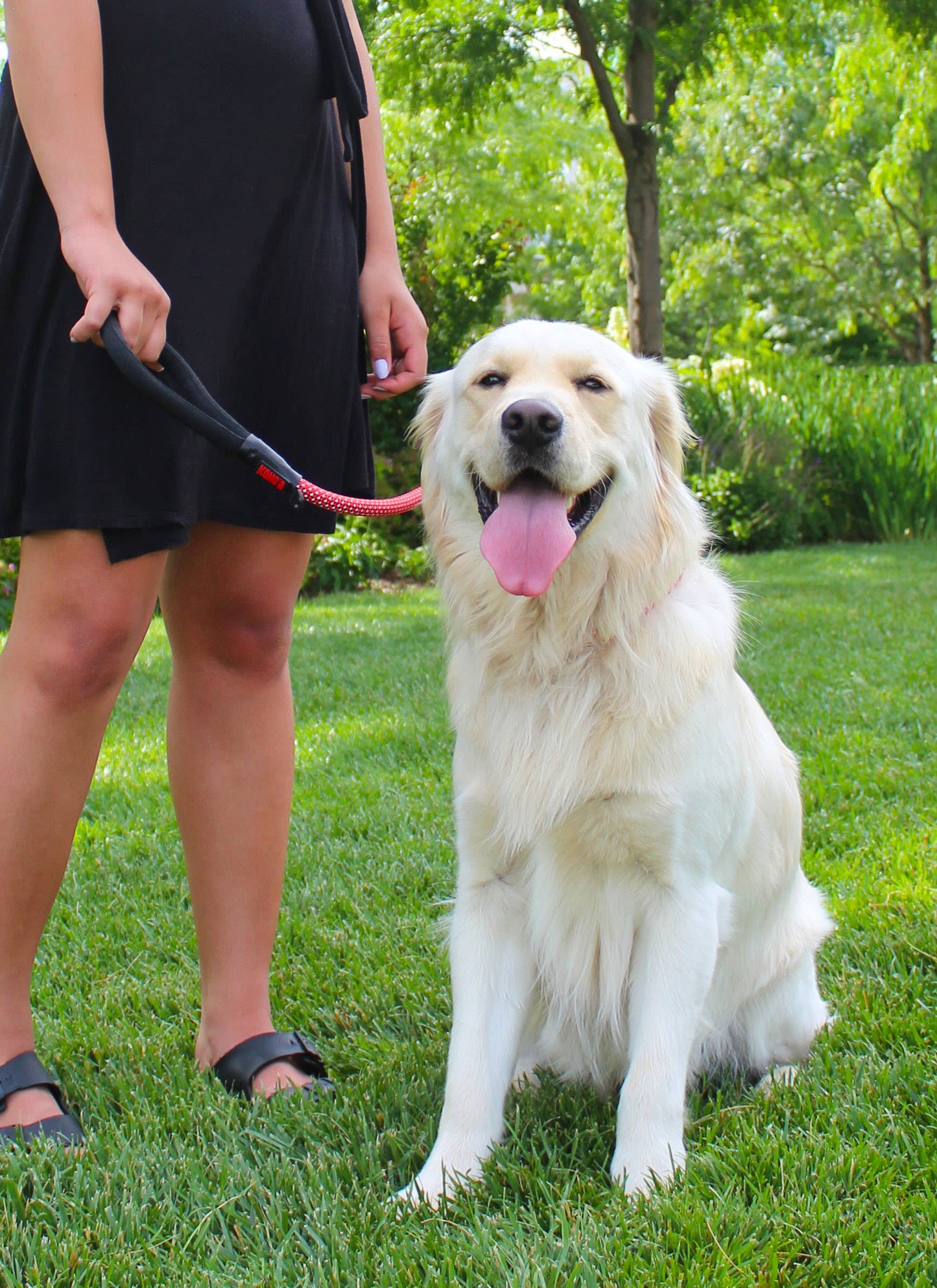 KONG Rope Red Dog Leash