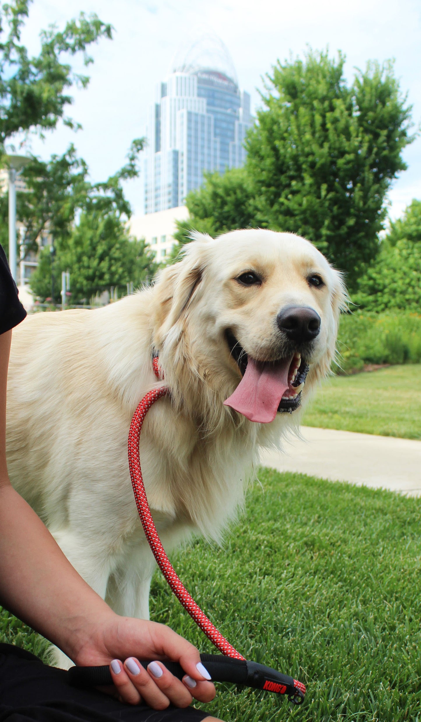 KONG Rope Red Dog Leash